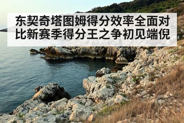 东契奇塔图姆得分效率全面对比新赛季得分王之争初见端倪